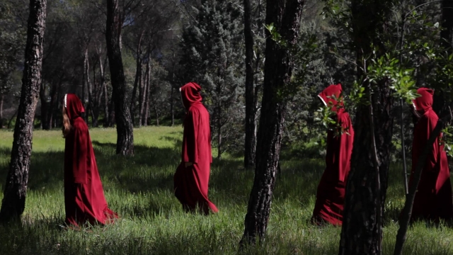  森林里的陌生人 